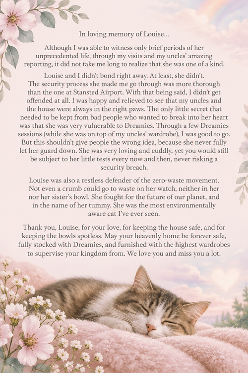 In loving memory of Louise...
Although I was able to witness only brief periods of her unprecedented life, through my visits and my uncles' amazing reporting, it did not take me long to realize that she was one of a kind.
Louise and I didn't bond right away. At least, she didn't. The security process she made me go through was more thorough than the one at Stansted Airport. With that being said, I didn't get offended at all. I was happy and relieved to see that my uncles and the house were always in the right paws. The only little secret that needed to be kept from bad people who wanted to break into her heart was that she was very vulnerable to Dreamies. Through a few Dreamies sessions (while she was on top of my uncles' wardrobe), I was good to go. But this shouldn't give people the wrong idea, because she never fully let her guard down. She was very loving and cuddly, yet you would still be subject to her little tests every now and then, never risking a security breach.
Louise was also a restless defender of the zero-waste movement. Not even a crumb could go to waste on her watch, neither in her nor her sister's bowl. She fought for the future of our planet, and in the name of her tummy. She was the most environmentally aware cat I've ever seen.
Thank you, Louise, for your love, for keeping the house safe, and for keeping the bowls spotless. May your heavenly home be forever safe, fully stocked with Dreamies, and furnished with the highest wardrobes to supervise your kingdom from. We love you and miss you a lot.