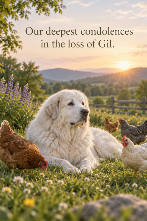 Our deepest condolences in the loss of Gil.
